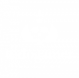 ludogamer